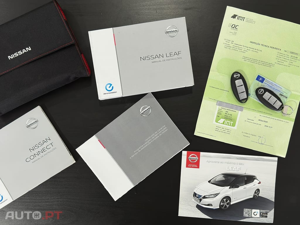 Nissan Leaf 3.Zero
