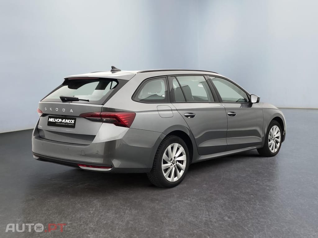 Skoda Octavia Break 2.0 TDI Selection DSG