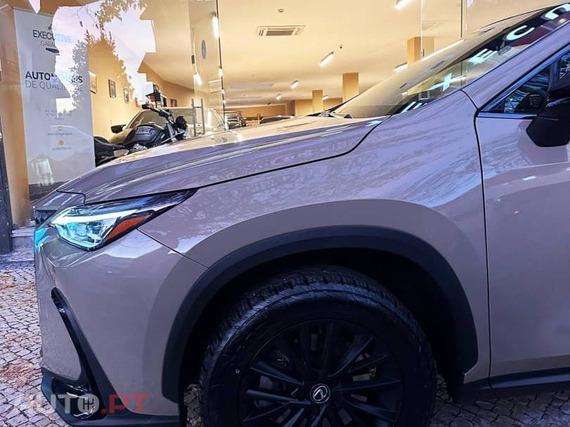 Lexus NX Executive