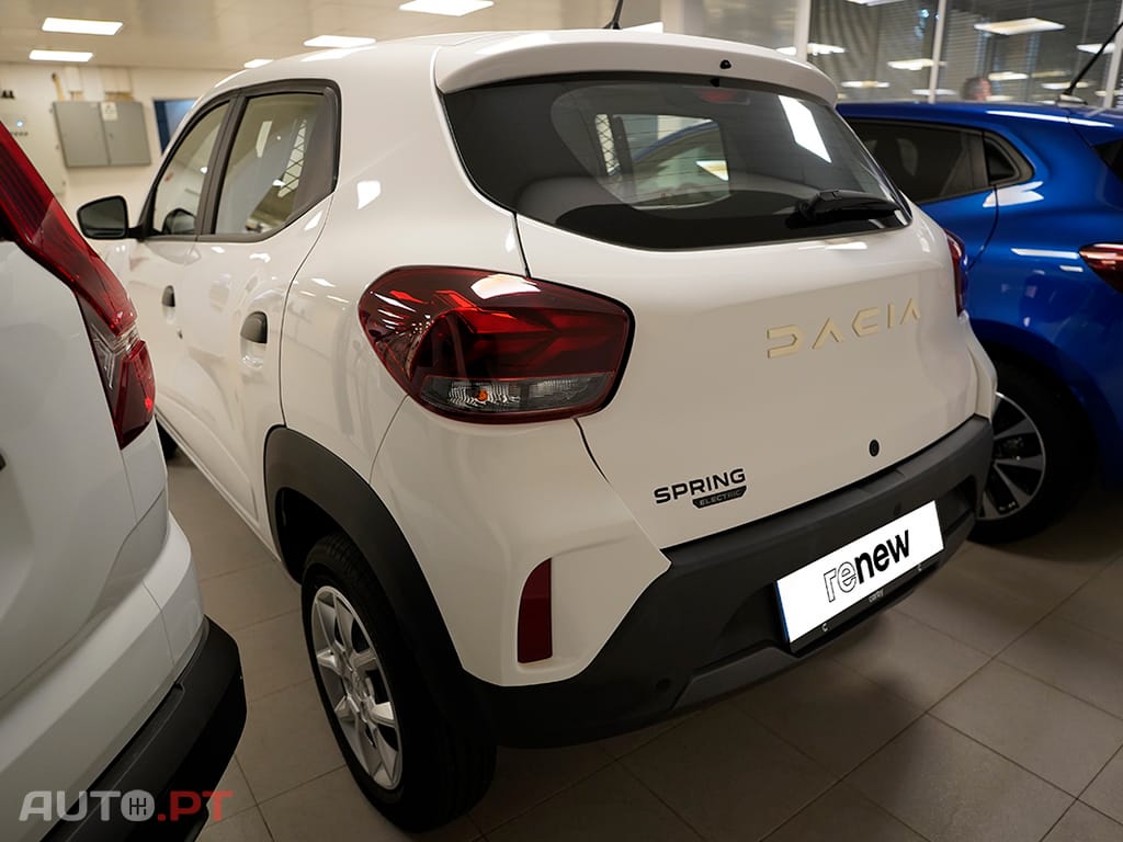 Dacia Spring Spring Cargo 45