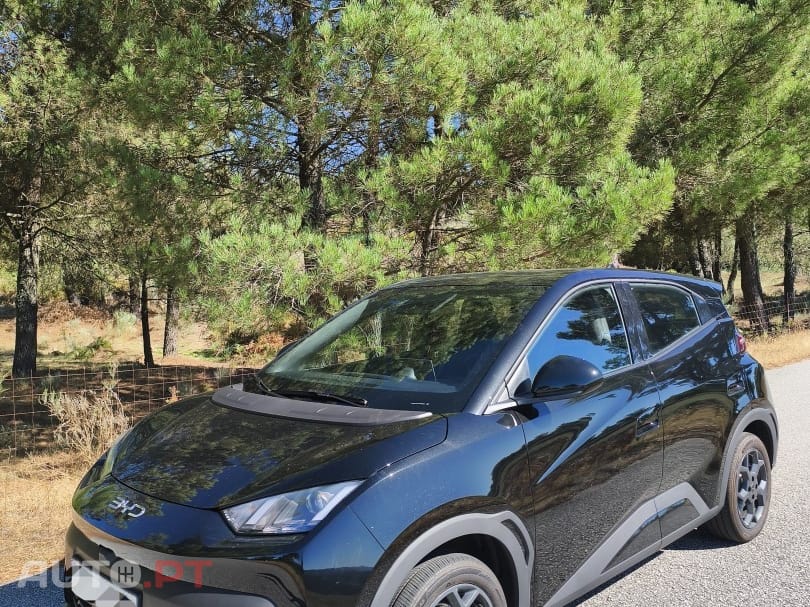 BYD Dolphin Surf 43.2 kWh Boost