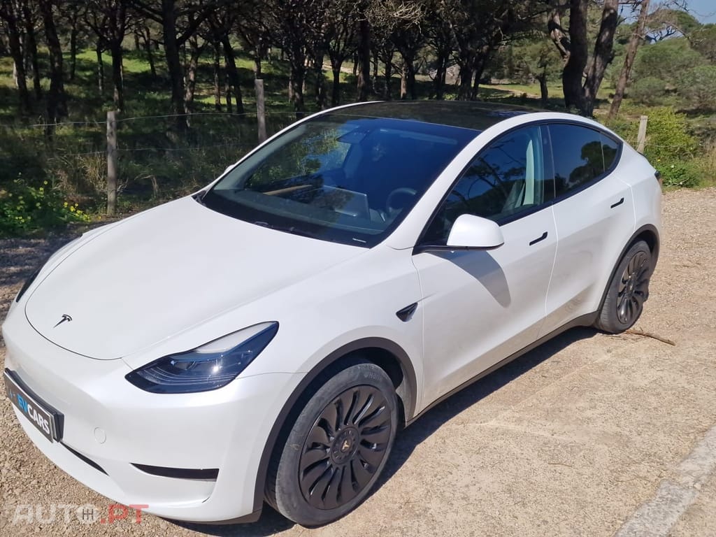 Tesla Model Y RWD