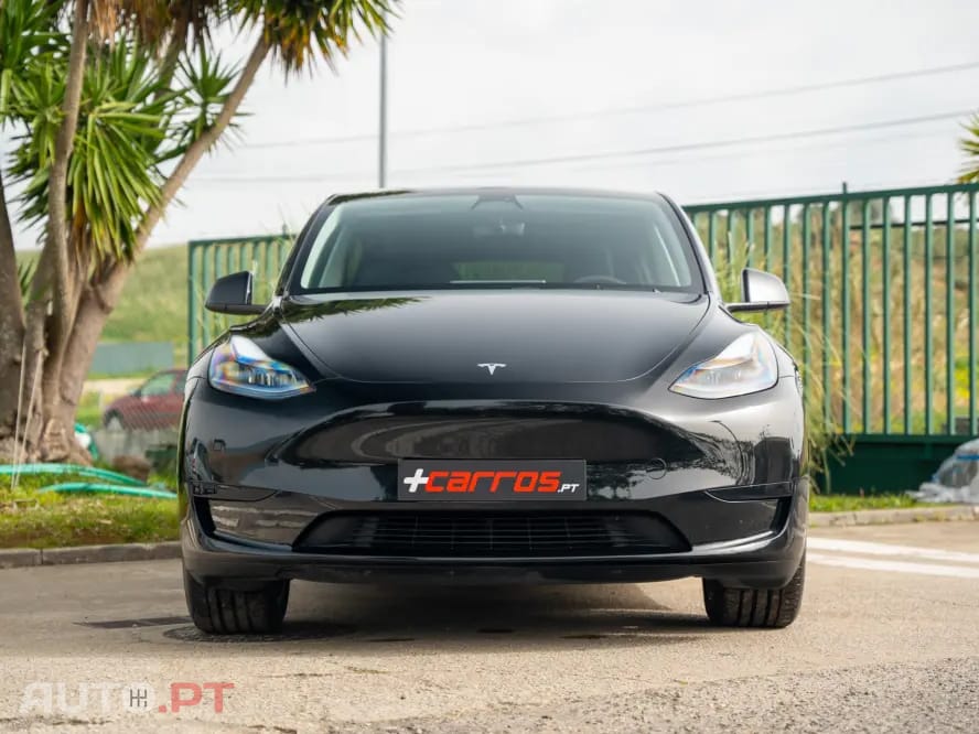 Tesla Model Y Standard