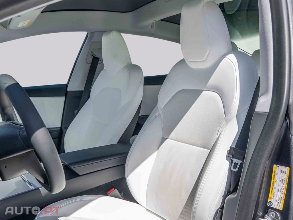 Tesla Model 3 Long Range Tração Integral