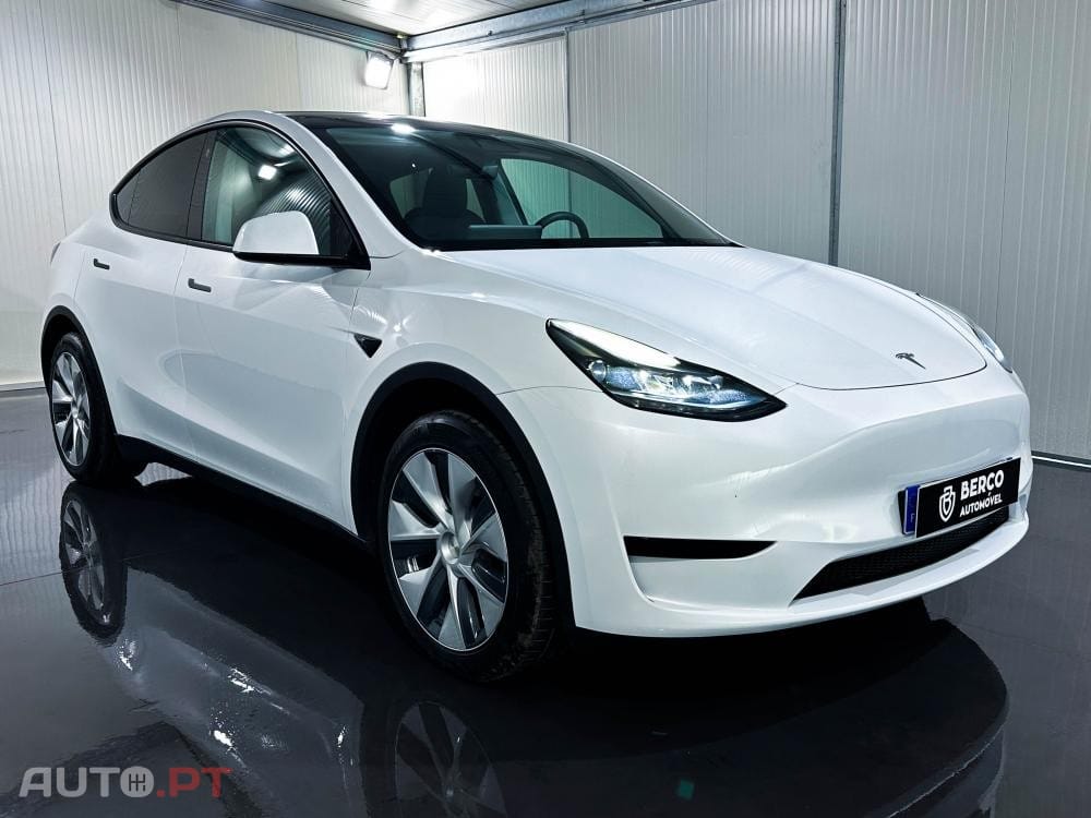 Tesla Model Y Standard