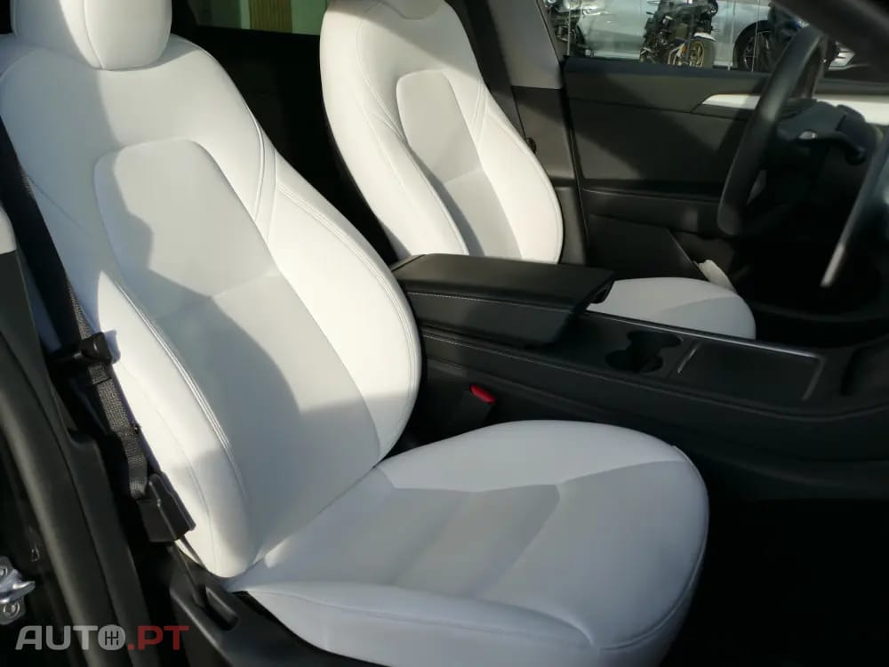 Tesla Model Y Standard