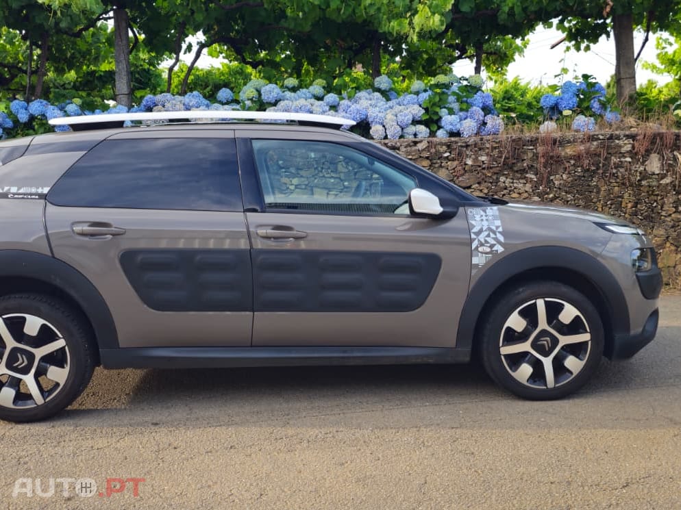 Citroen C4 Cactus 1.2 PureTech Rip Curl