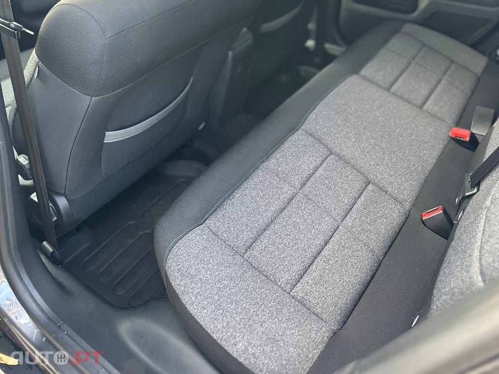 Citroen C4 Cactus 1.6 BlueHDI Shine 100cv