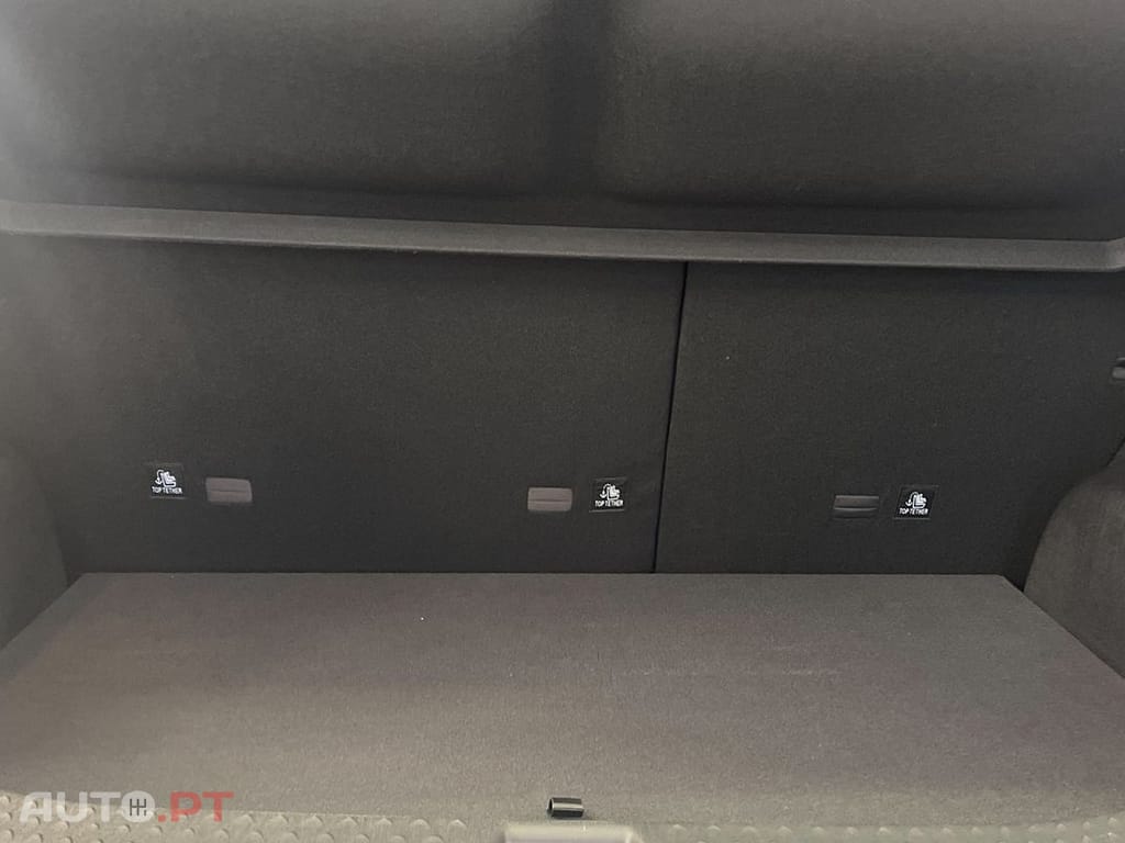 BYD Dolphin Design 