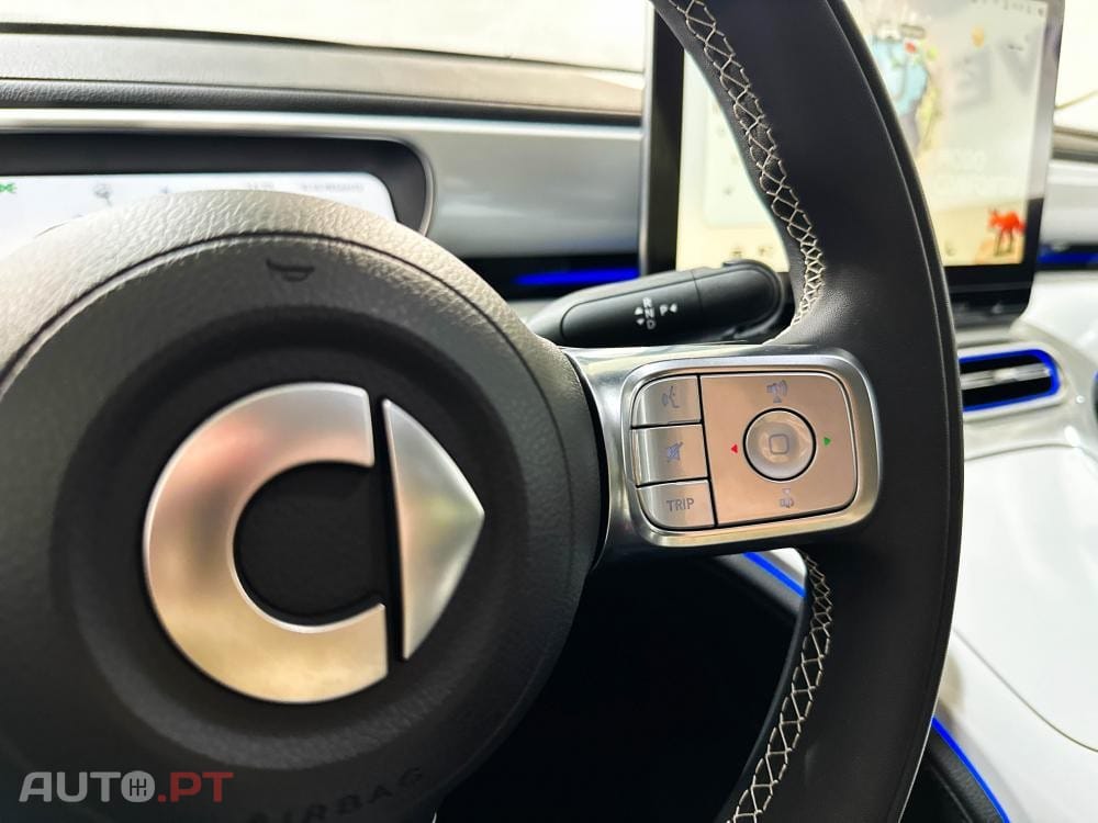 Smart #1 66 kWh Premium