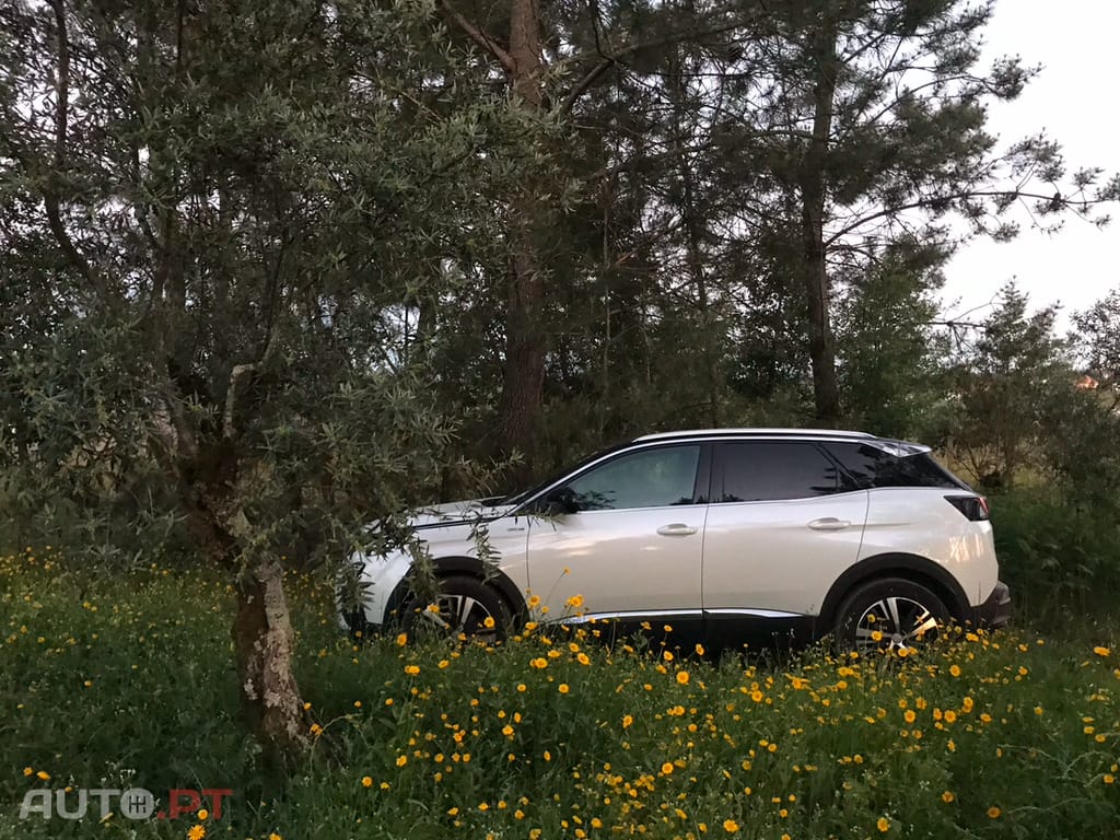 Peugeot 3008 GTLine 1.5 BlueHDi 130 cv