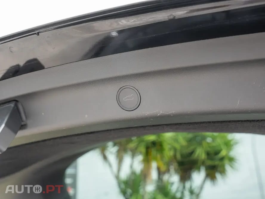 Tesla Model Y Standard