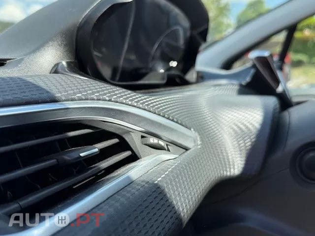 Peugeot 2008 other_Outro