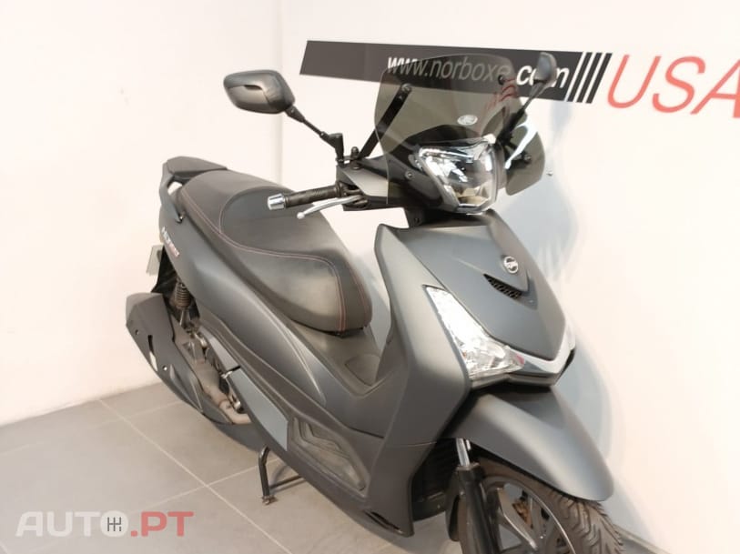 Sym HD 300