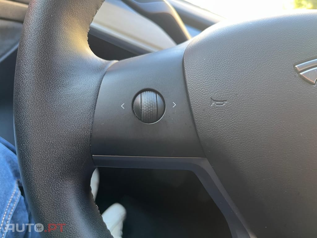 Tesla Model 3 Standard Range Plus