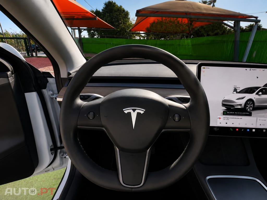 Tesla Model Y Standard