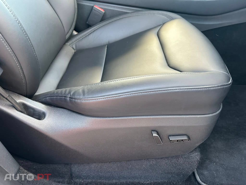 Tesla Model Y Standard RWD