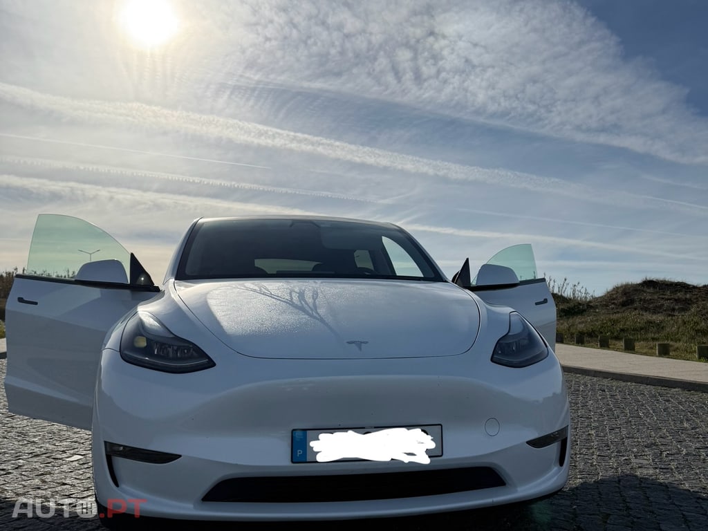 Tesla Model Y PERFOMANCE