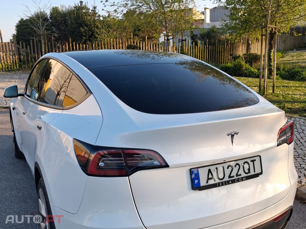 Tesla Model Y RWD