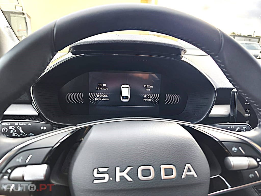 Skoda Fabia 1.0 TSI Selection DSG