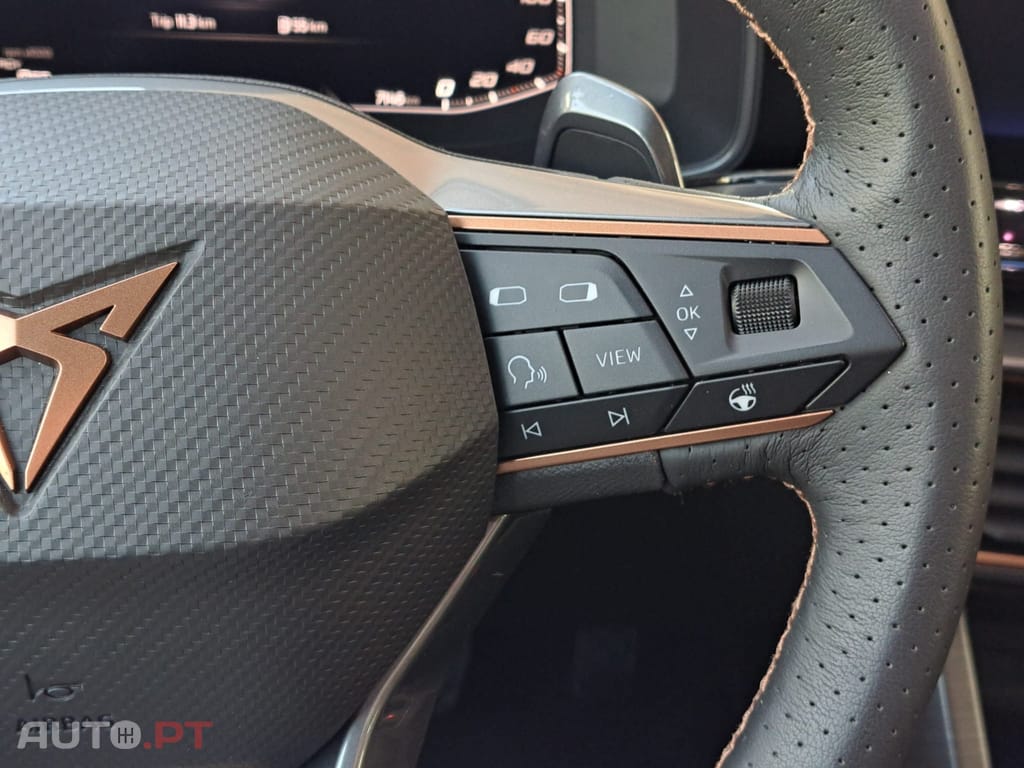 Cupra Formentor 1.5 TSI Sport DSG