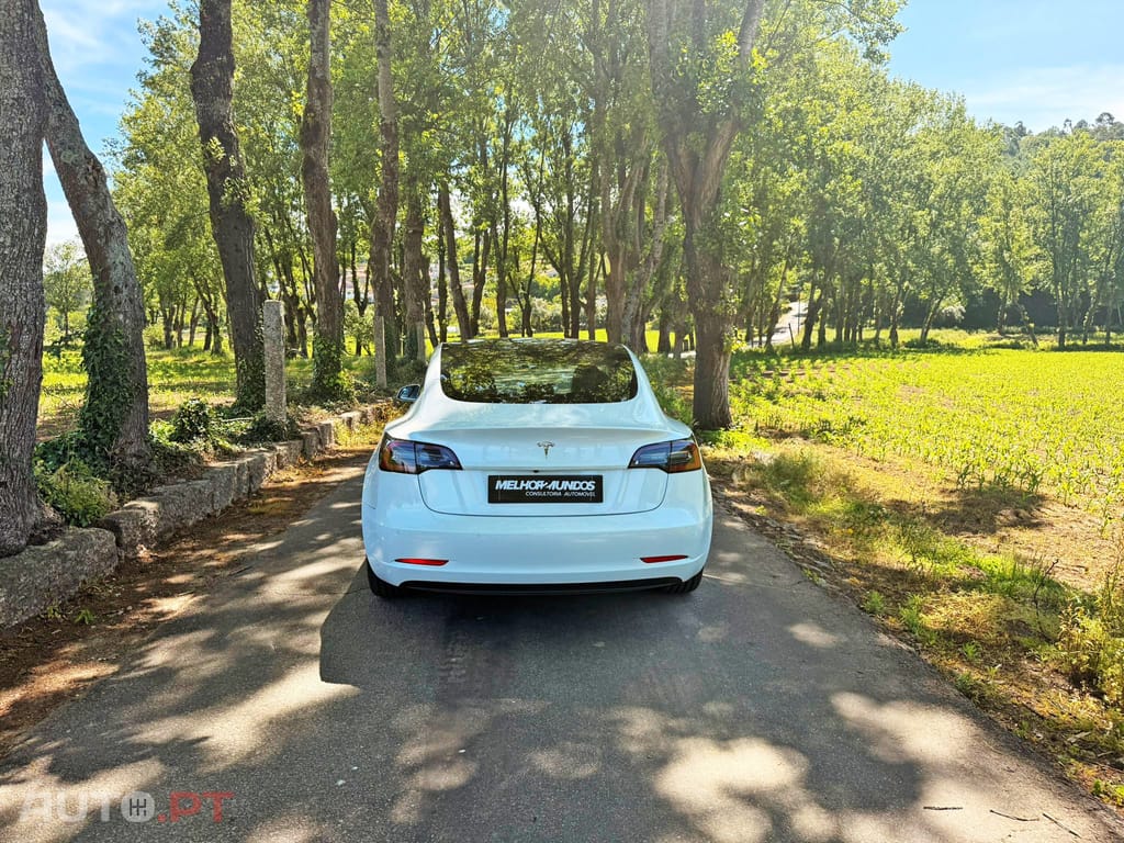 Tesla Model 3 Standard RWD Plus