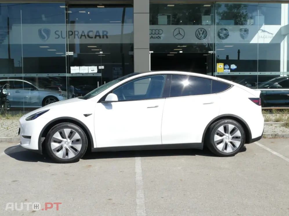 Tesla Model Y Standard