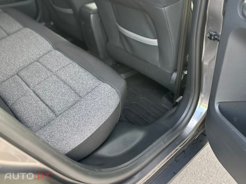 Citroen C4 Cactus 1.6 BlueHDI Shine 100cv