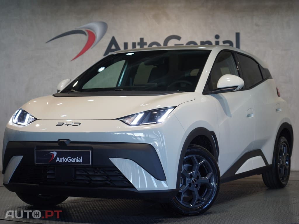 BYD Dolphin Surf Comfort