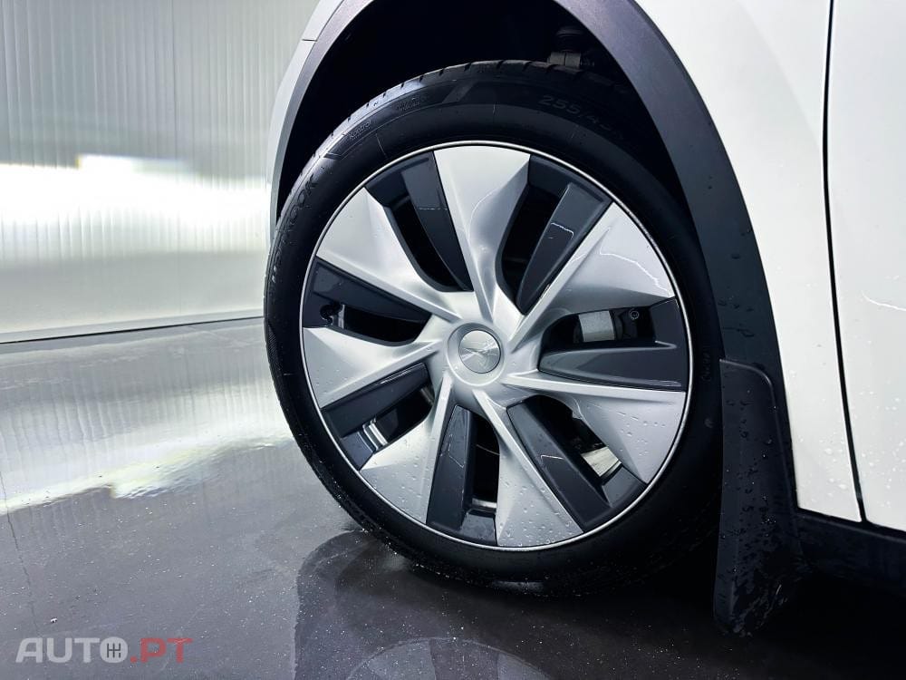 Tesla Model Y Standard
