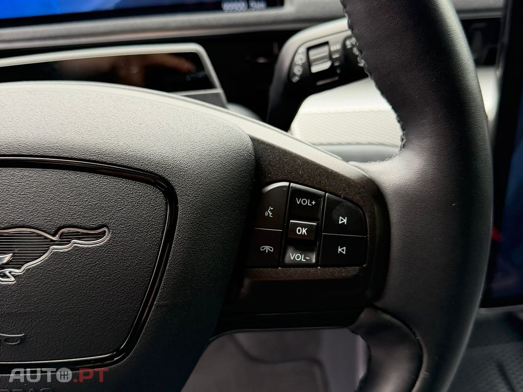 Ford Mustang Mach-E Standard