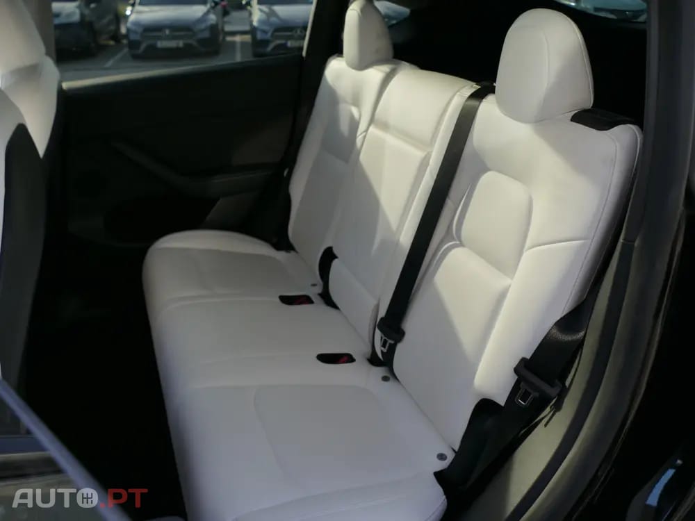 Tesla Model Y Standard