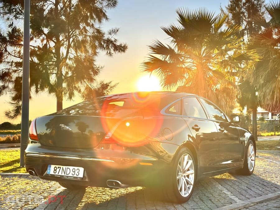 Jaguar XJ 3.0 v6 premium luxury