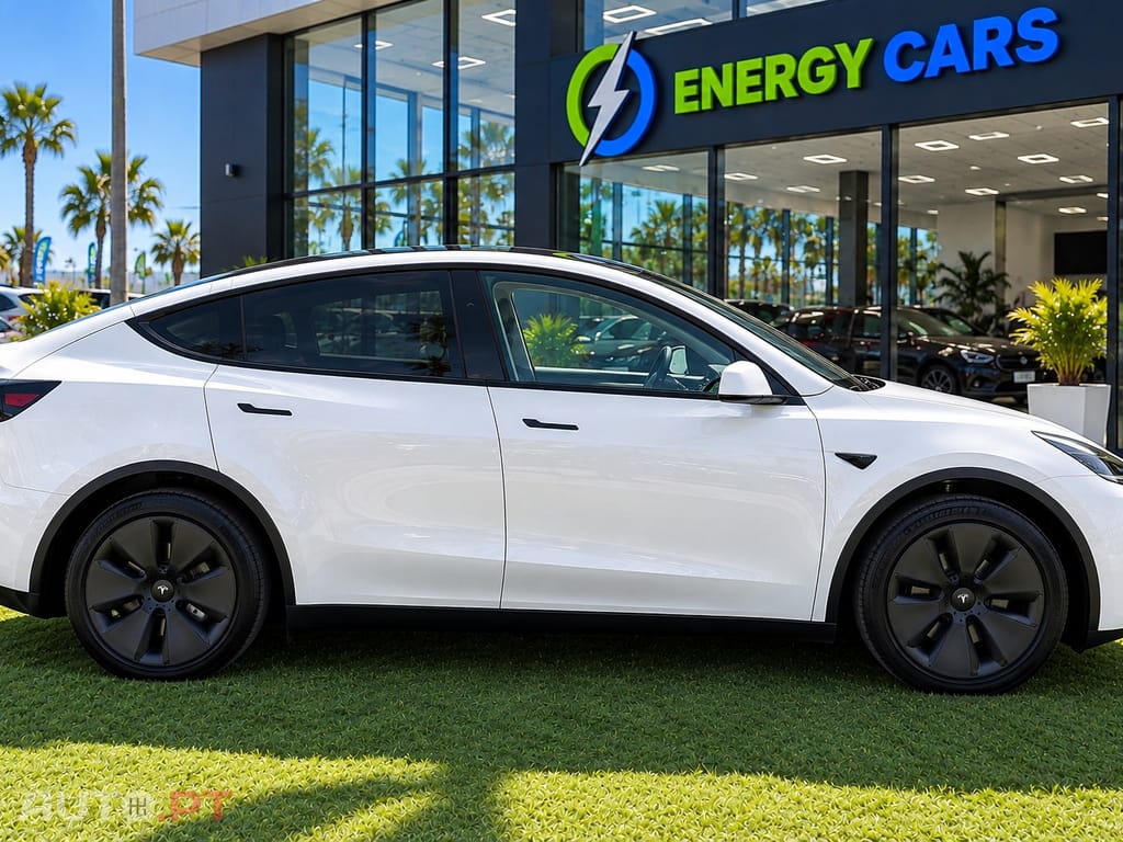 Tesla Model Y Long Range Tração Integral