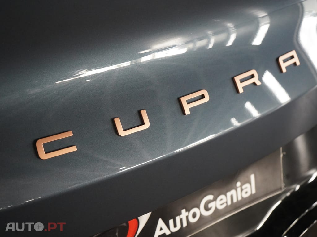 Cupra Tavascan 77 kWh Endurance