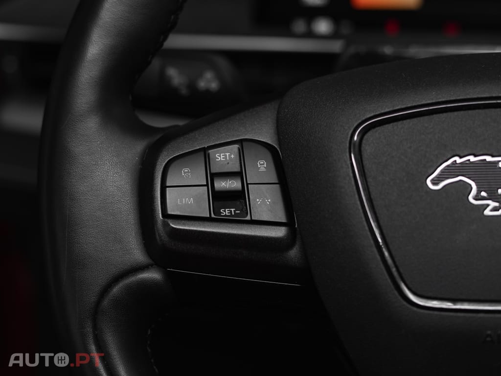 Ford Mustang Mach-E Standard