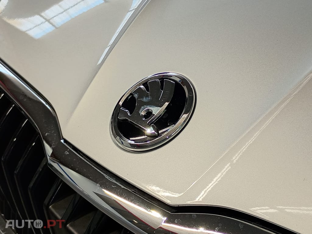 Skoda Fabia 1.0 TSI DSG