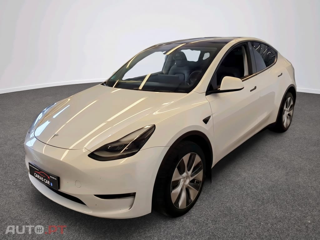 Tesla Model Y Long Range Dual Motor