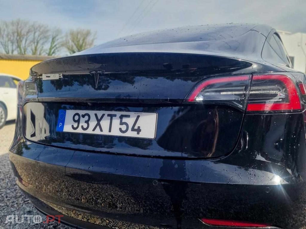 Tesla Model 3 PERFORMANCE