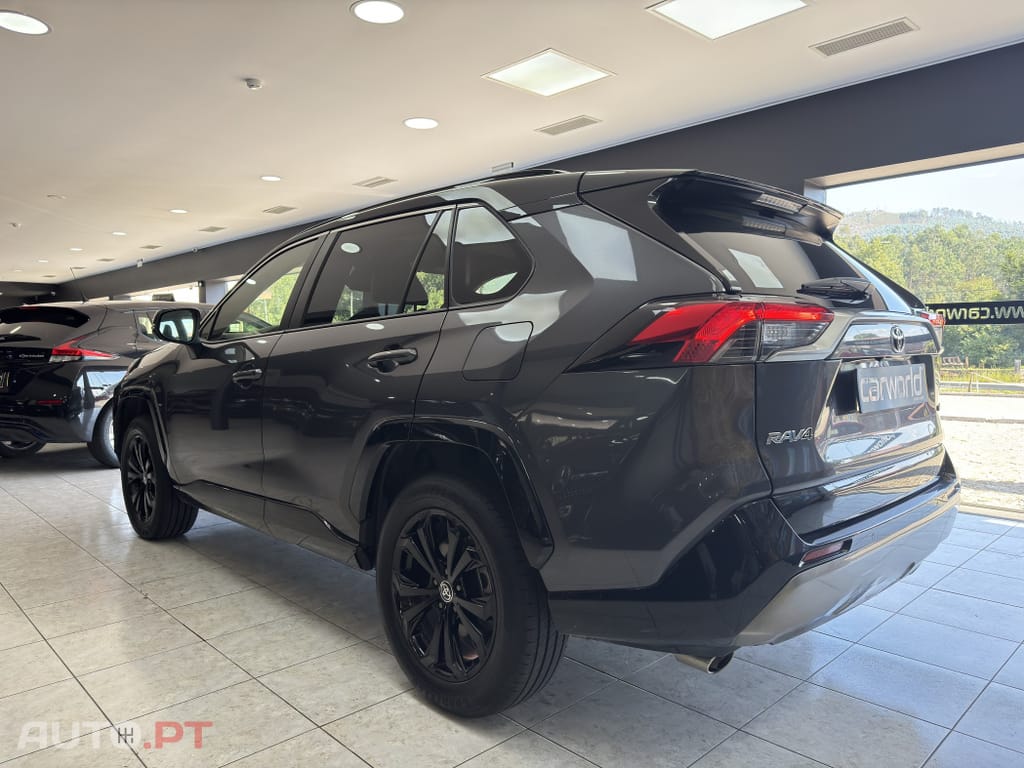 Toyota RAV4 HDF Square Collection