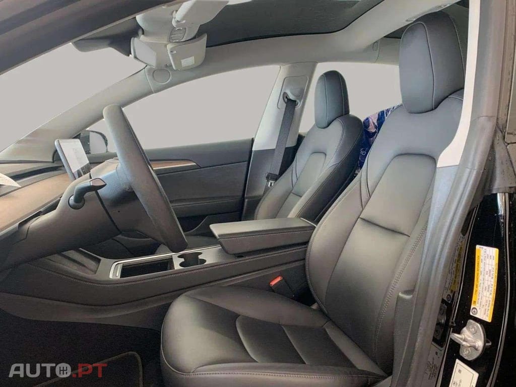 Tesla Model 3 Performance