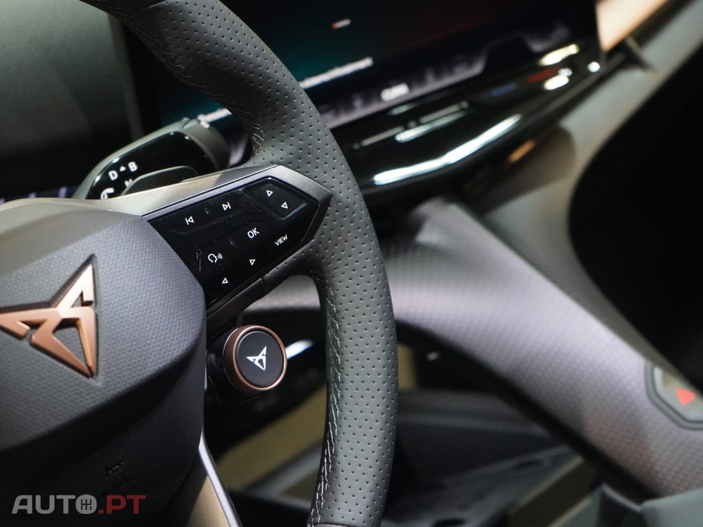 Cupra Tavascan 77 kWh Endurance