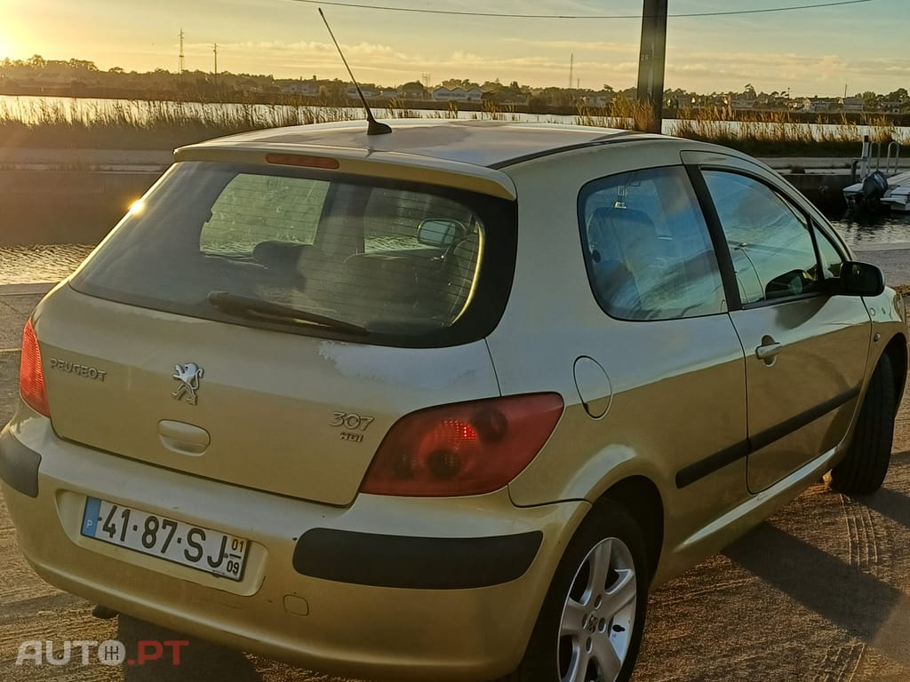 Peugeot 307 2.0 Hdi Xs