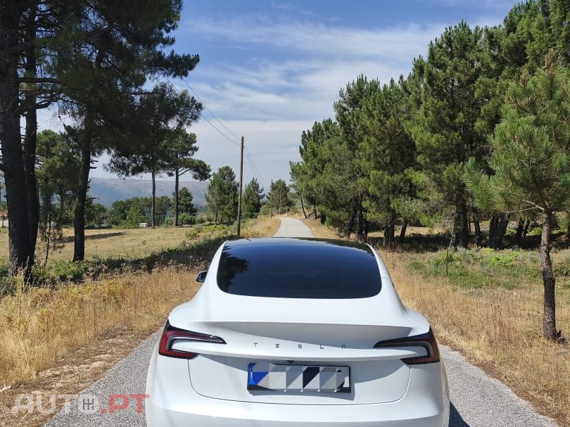 Tesla Model 3 Standard RWD