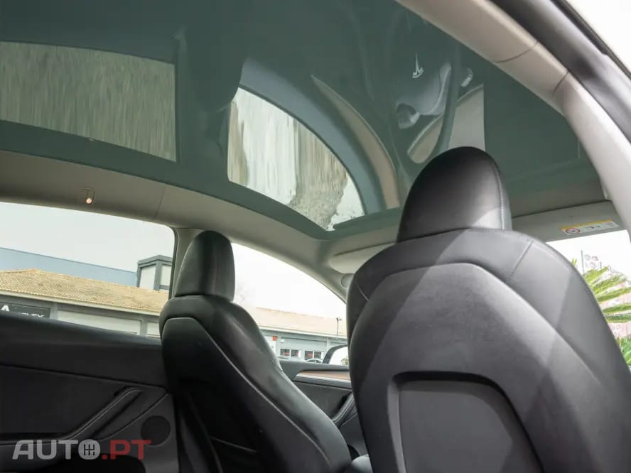 Tesla Model Y Standard