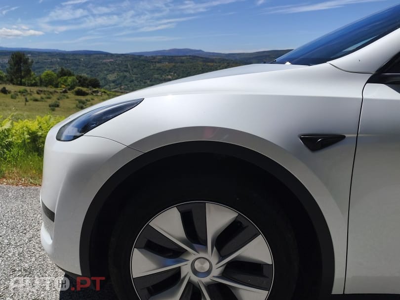 Tesla Model Y RWD