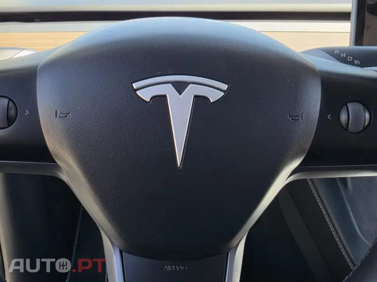 Tesla Model Y Long Range Tração Traseira Premium