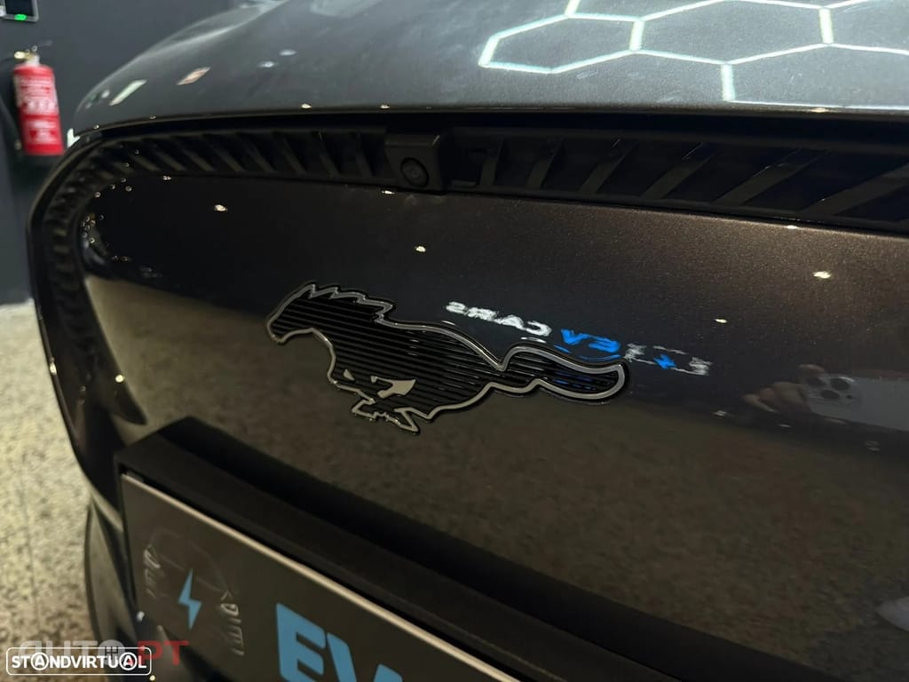 Ford Mustang Mach-E Standard