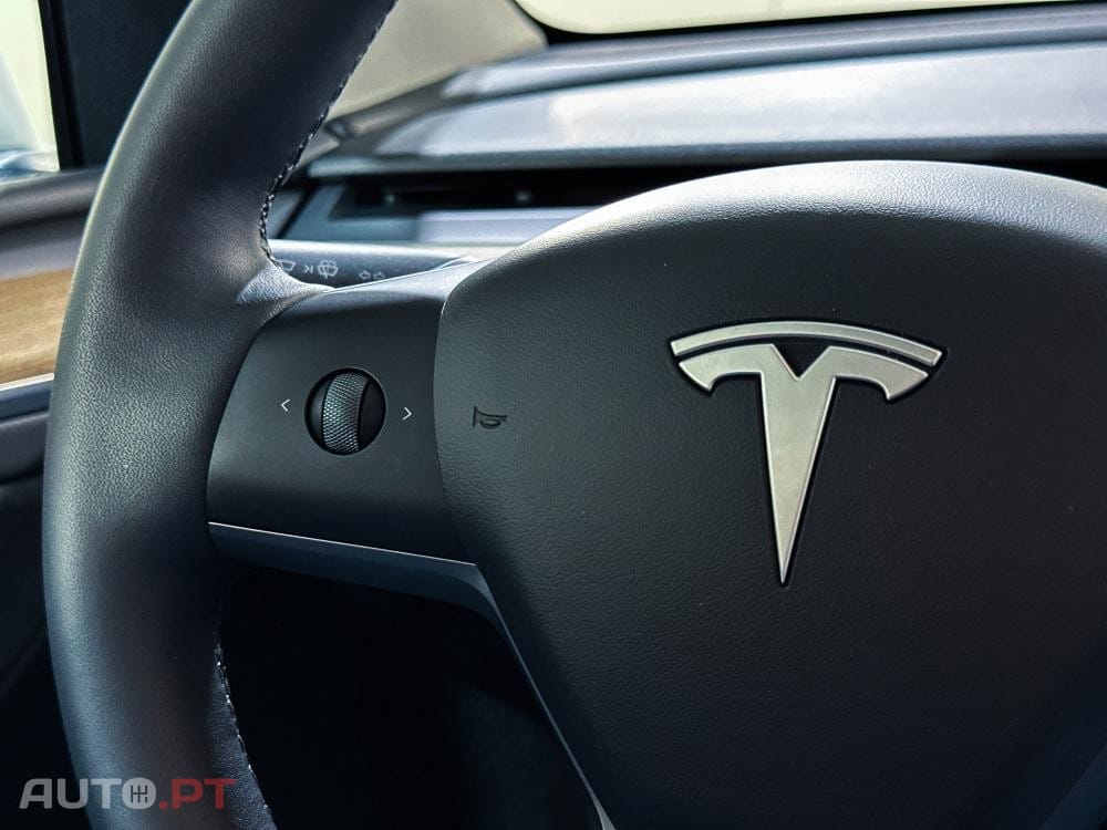 Tesla Model Y Standard