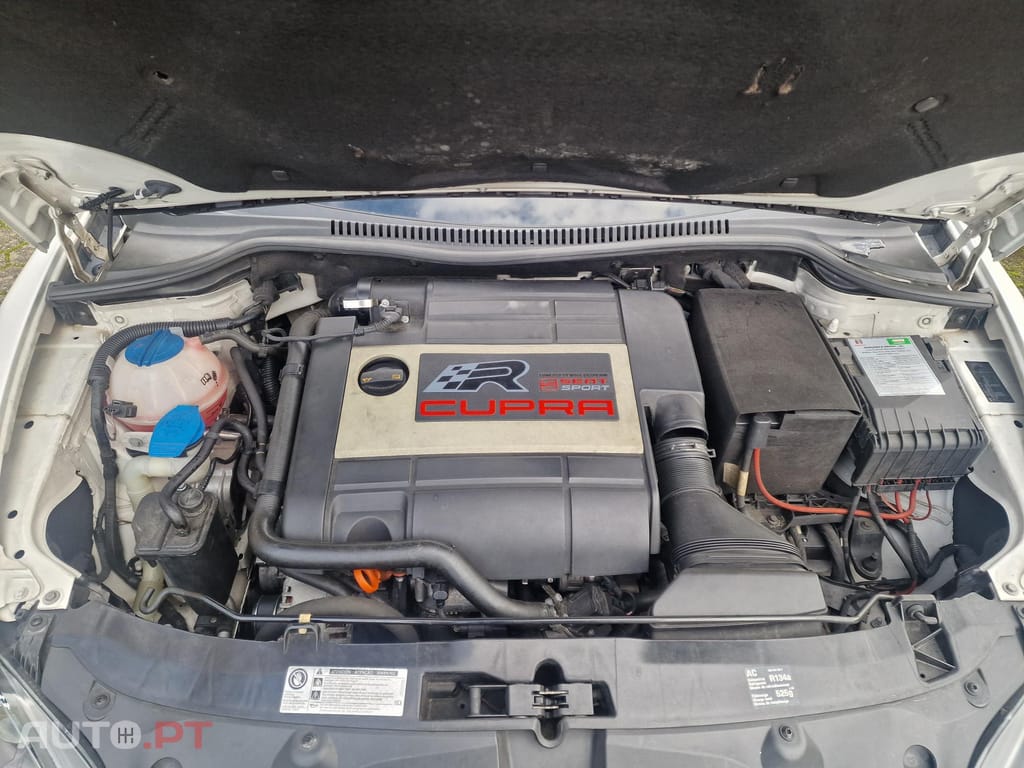 Seat Leon Cupra R 265 cv